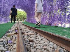 -长洲岛