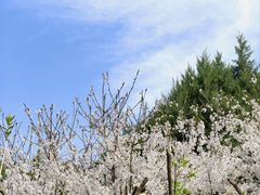 -太阳宫公园