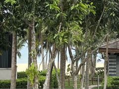 -石梅湾艾美度假酒店