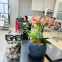 -showcase·形象沙龙