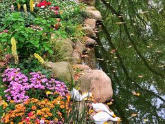 -上海共青森林公园