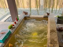 -春晖园度假酒店温泉