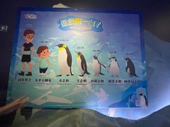 -珠海横琴长隆《卡卡虎奇遇记》