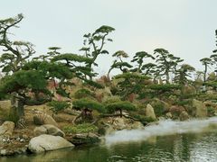 -罗红摄影艺术馆