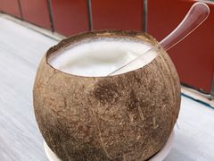 -椰爺爺·椰子冻砵仔糕
