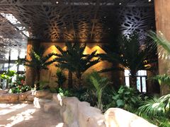 -杭州开元森泊度假乐园