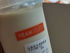 山茶花乌龙轻乳茶-野人先生现做冰淇淋(北京环宇荟店)