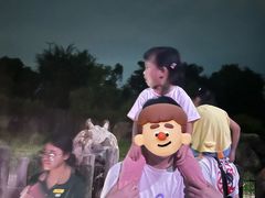 -夜间野生动物园