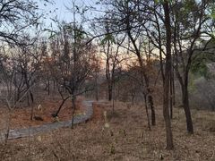 -北京西山国家森林公园