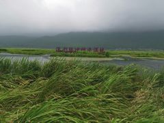 -腾冲北海湿地