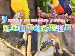 -正佳雨林生态植物园