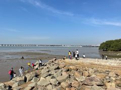 -宝安西湾红树林湿地公园