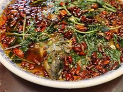 杨记招牌鱼-杨记隆府(时代天街店)