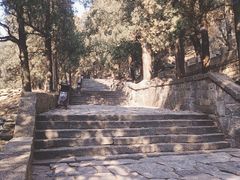 -泰山风景名胜区