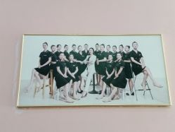 点击看大图 -WENDY·温迪皮肤管理