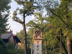 -灵谷景区