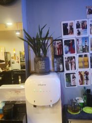 -日寸形象护肤养生