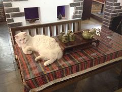 IMG_0935-西塘明榉坊客栈