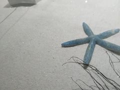景点-贝壳王国博物馆