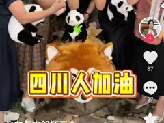 -约翰·菲茨杰拉德·肯尼迪国际机场