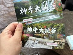 -神牛大峡谷