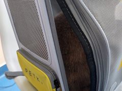 -创凡宠物医院·骨专科  猫科中心(西乡分院)