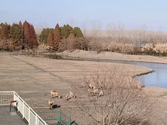 -溱湖国家湿地公园