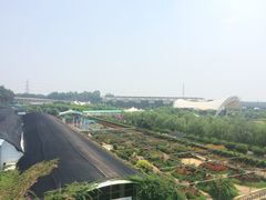 -广州花之恋城堡酒店