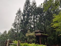 -太阳湾风景区