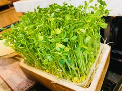 -潮牛海记•潮汕牛肉火锅•醉鸡煲•粿条汤(通北路店)