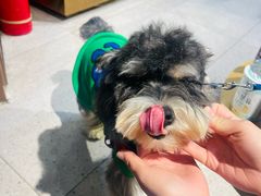 -FAELING PETS美天灵宠物(富力广场店)