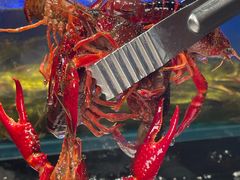 -苏格里岛自助烤肉海鲜火锅(成都金牛万达店)