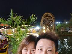 -一煲鸽