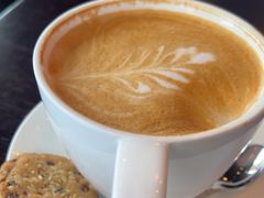 -blue frog蓝蛙(长泰广场店)