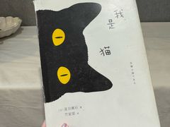 -猫里有甜