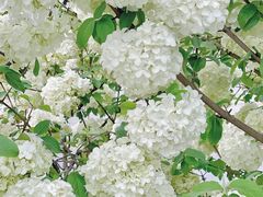 -大龙山(地铁站)