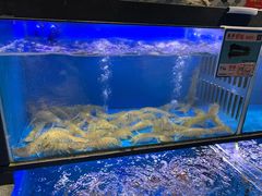 -旺豪海鲜餐厅(友谊阳光城店)