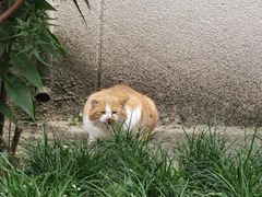 -龍城柳州螺蛳粉(群星路店)
