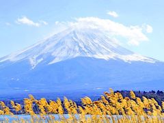 -富士山吉田線五合目