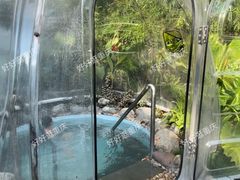 -水王国温泉水世界