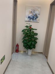 -禾美嘉医疗美容