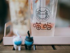 -喵屿·大理花园猫咖