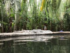 -龙达温泉生态城