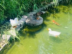 -三里河公园