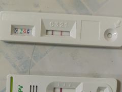 -瑞派宠物医院·CT影像中心·猫友好医院(奥城店)