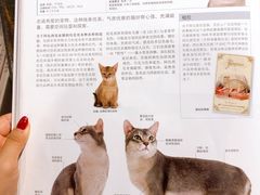 -西西弗书店&矢量咖啡(凯德MALL店)