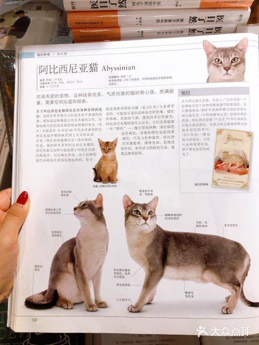 西西弗书店&矢量咖啡(凯德MALL店)图片