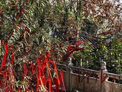 -采石矶景区