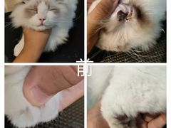 -听TA说宠咖·宠物生活馆(天韵水岸店)