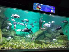 -常州海昌海洋探索馆